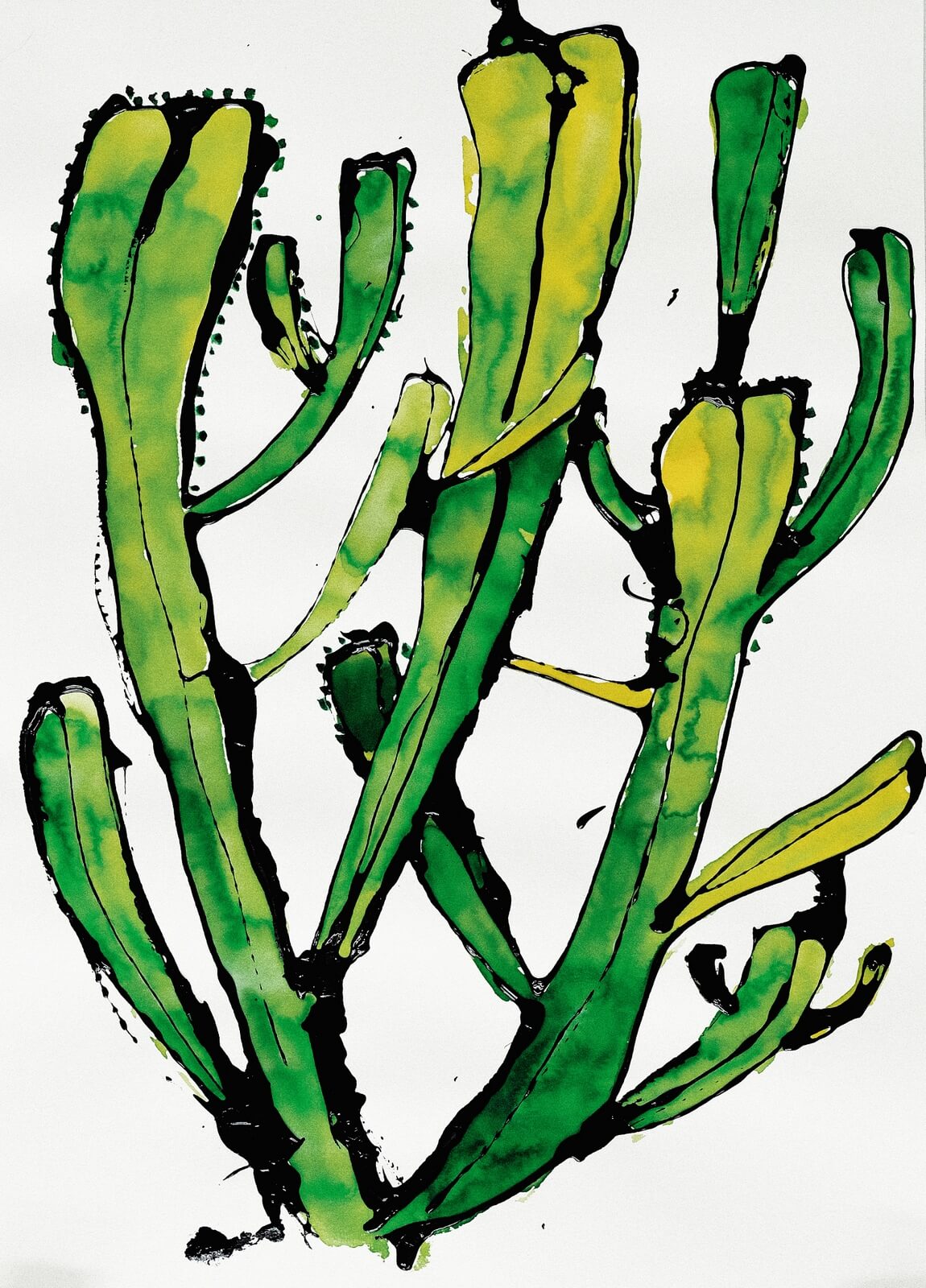 Obraz dripping Couloured cactus 59 x 42 cm
