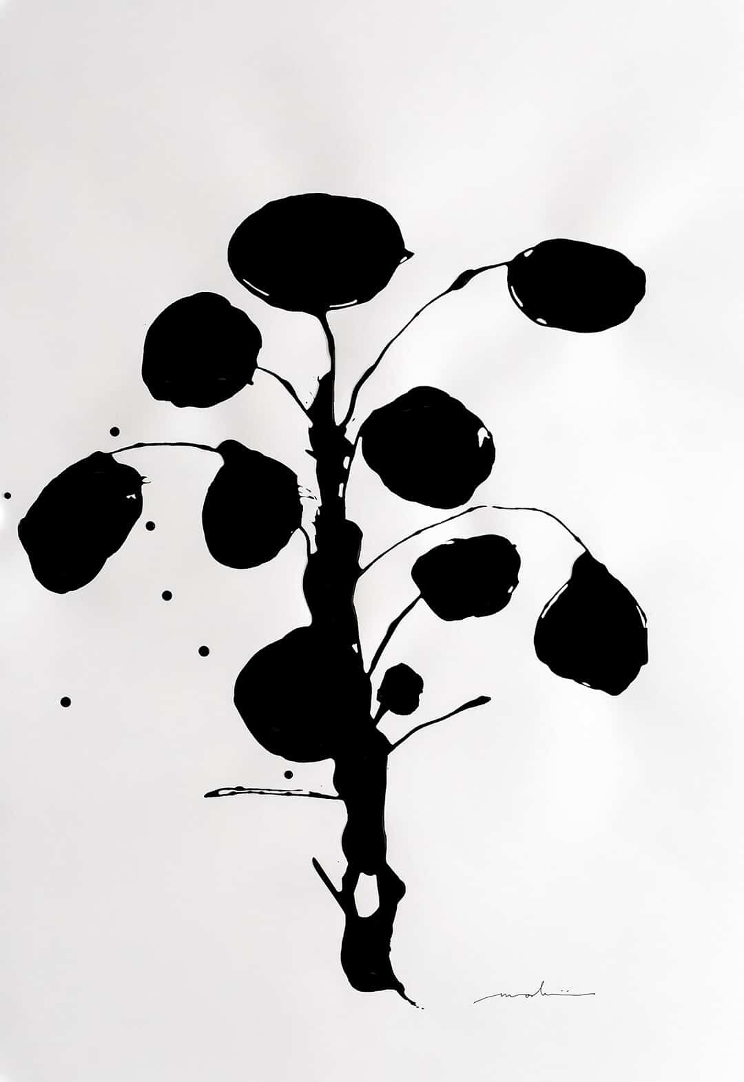 Obraz dripping Pilea 59 x 42 cm